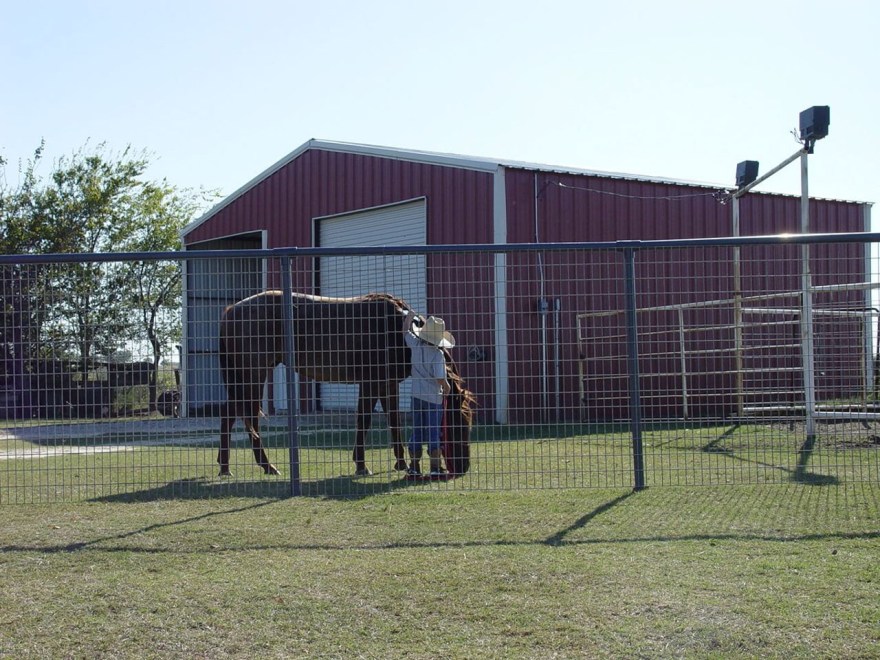 galvanized horse fence panels - Ok Brand  Ga Galvanized Horse Panel - 