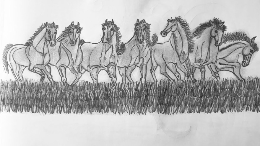 seven horse sketch - Seven Horses Drawing  Step by Step  Easy drawing with pencil   #sevenhorses