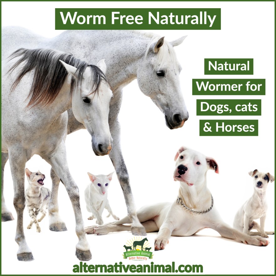 natural horse dewormer - Wormfree Naturally Natural Horse DeWormer